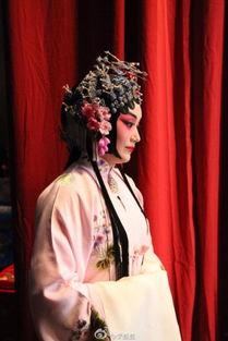 刘桂娟背景,从基层奋斗到行业翘楚的传奇人生