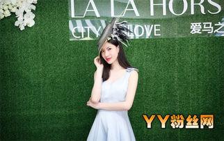 杨一一资料,探寻生活哲学的智慧之光