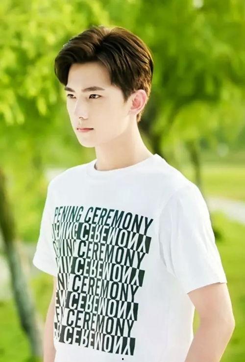 演员扬洋,光影交织下的璀璨星途